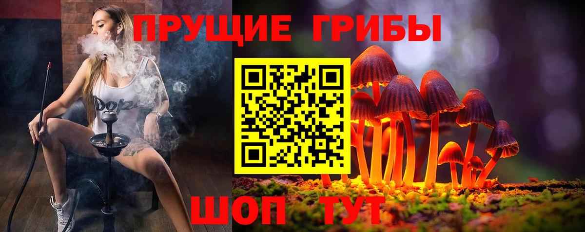 Псилоцибиновые грибы GOLDEN TEACHER  Вход с VPN  Псилоцибиновые грибы Magic Shrooms  Чусовой 