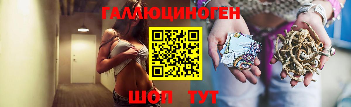 Галлюциногенные грибы Psilocybe Чусовой